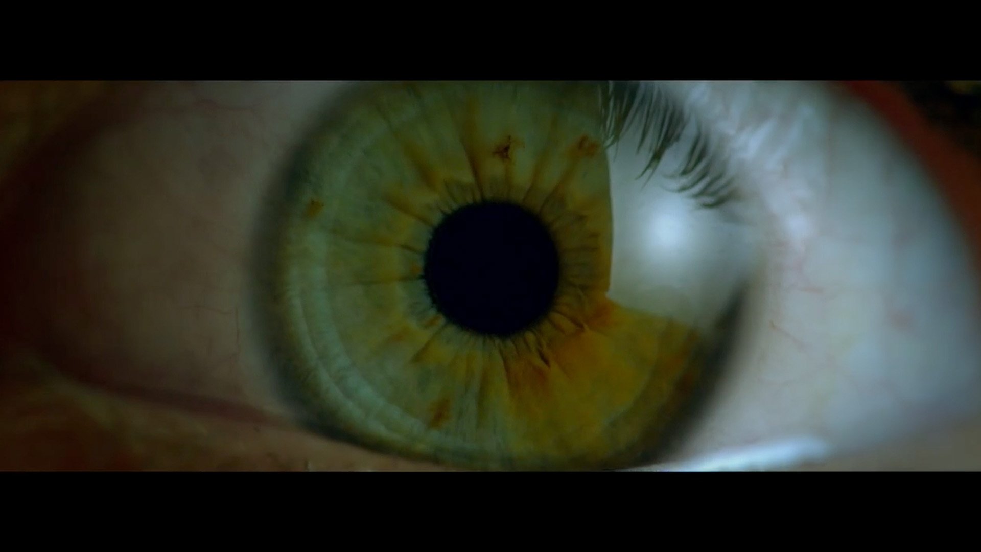 Acura brand film eye