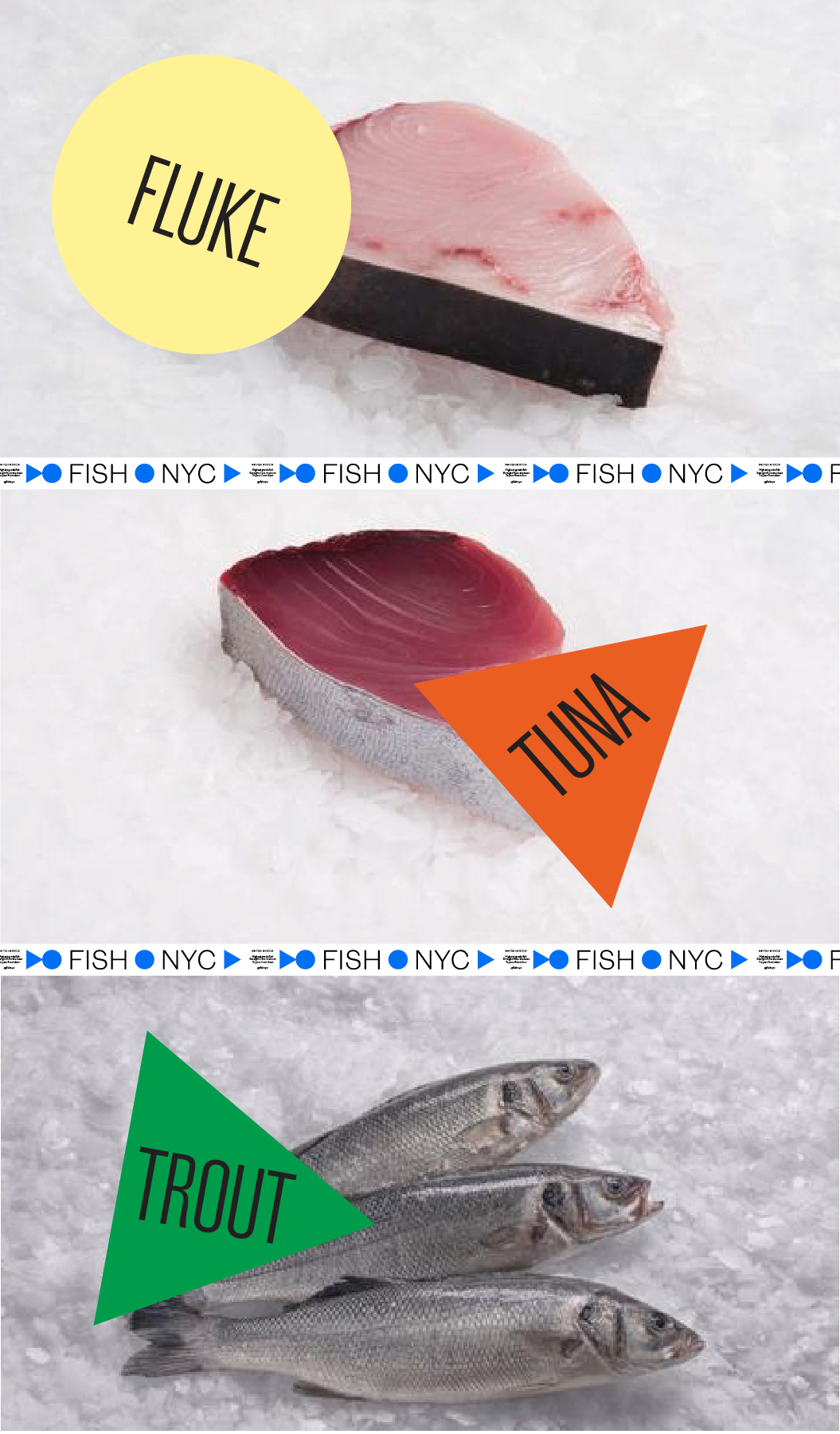 Work-Order+Fish-NYC_Fishphotos2